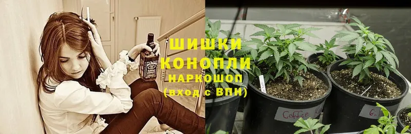 Конопля THC 21%  купить наркотики сайты  Белая Калитва 